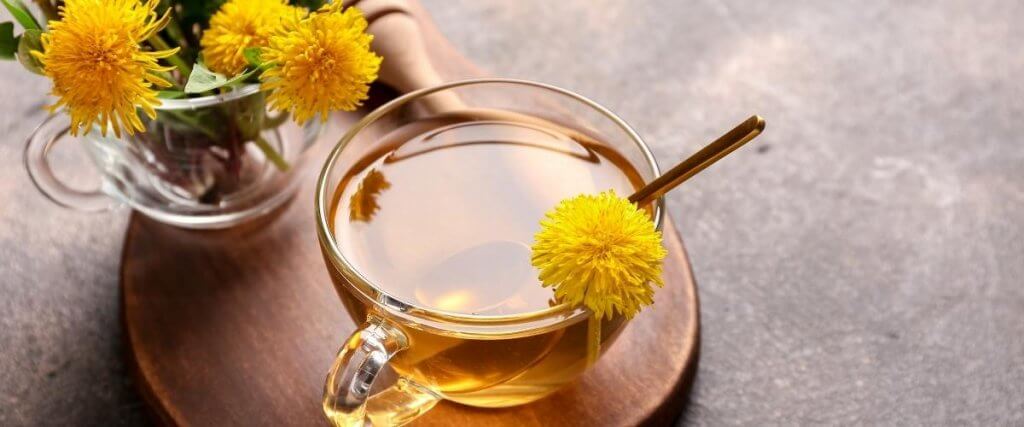 Dandelions tea for health and weight loss