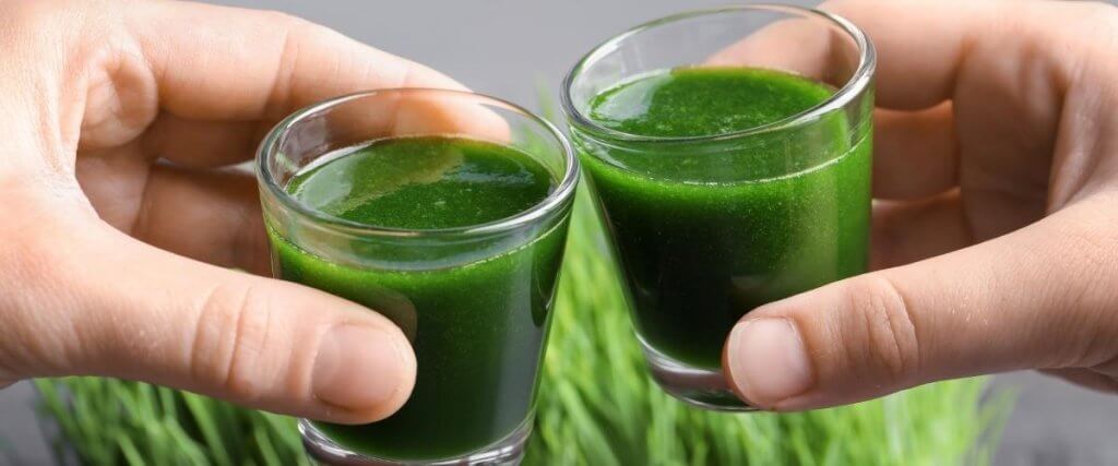 two hands holding green turmeric juice