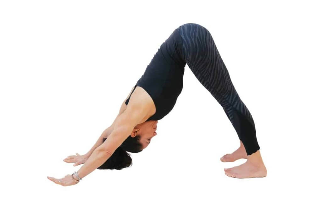 yoga Downward Facing Like a Dog